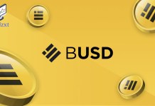 The Rise of BUSD: Exploring Binance’s Stablecoin and Its Impact Binance USD