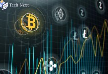 Bitcoin Network: Unraveling the Backbone of Decentralized Finance