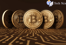 Avoiding Pitfalls in Crypto Margin Trading: Top Tips for Success