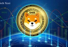 Unleashing the Shiba Inu: A Deep Dive into the SHIB Token Shiba Inu