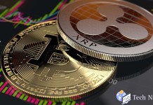 The Economics of Bitcoin: A Comprehensive Guide